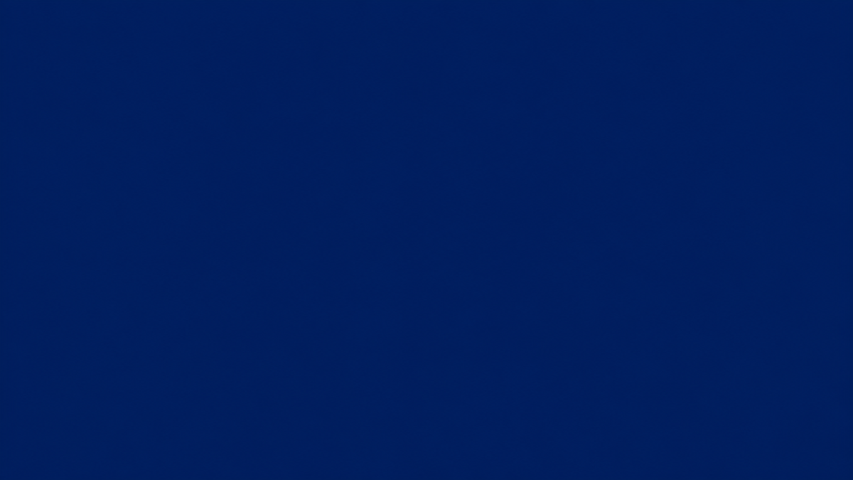 codex-ee02e11c6fa0469b89d05f6ac266fe96
