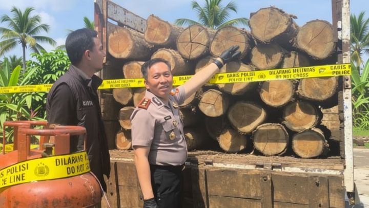 What Happened During: Polisi Bongkar Pembalakan Liar di Hutan Bojonegoro, 46 Batang Kayu Jati Disita