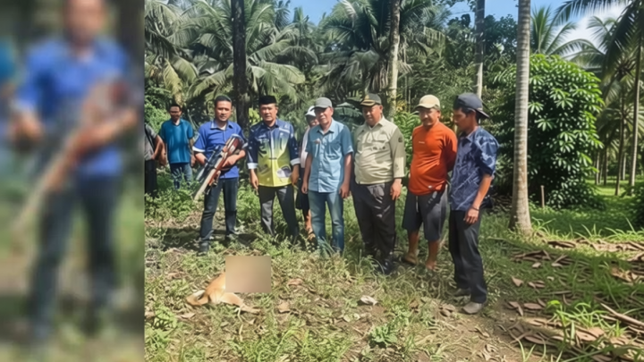 Geger! Anjing Gila Positif Rabies Gigit 8 Warga di Maros – Akhirnya Ditembak Mati