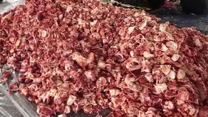 Desa Cikaso Kuningan Catat Rekor Kurban 28 Sapi – Daging Berlimpah Dibagikan ke Warga