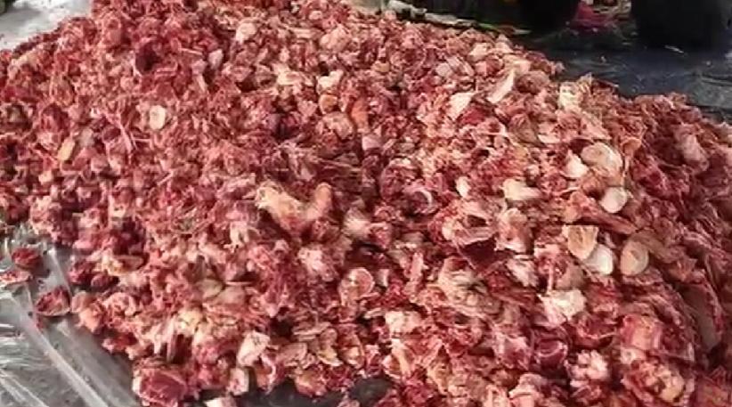 daging_kurban