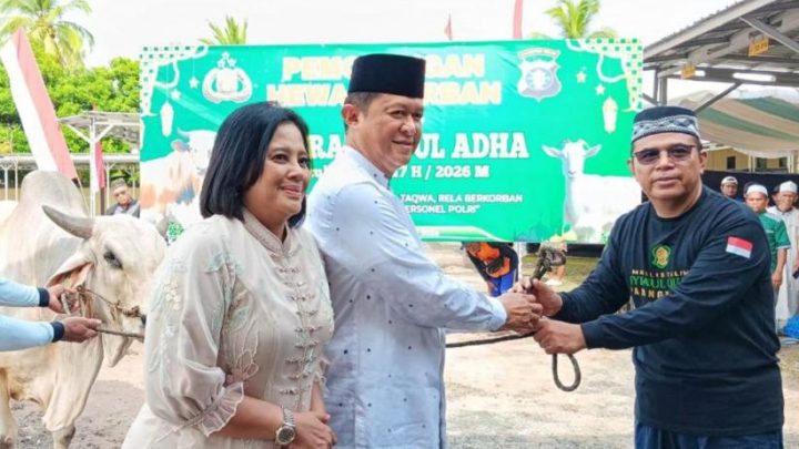 Polda Kalteng Sembelih 53 Sapi dan 8 Kambing saat Iduladha – Daging Dibagikan ke Warga