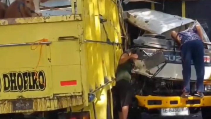 Truk Angkut Sapi Kurban Tabrakan Beruntun di Magetan – 3 Orang Luka Berat