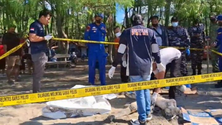 Mayat Wanita di Pantai Cemoro Sewu Gemparkan Warga Tulungagung – Kepala Terpisah