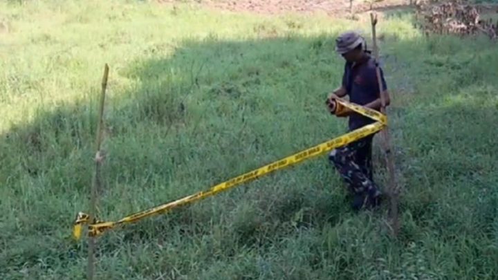 Facing Challenges: Tragis! Bocah 9 Tahun di Jasinga Bogor Tewas Diterkam Anjing Pemburu Babi Hutan