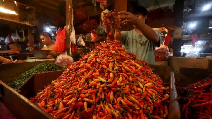 Usai Idul Adha – Harga Cabai Rawit di Jombang Meroket Tembus Rp100.000 per Kg
