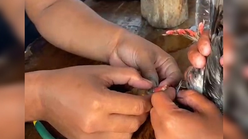 damkar_lepas_cincin
