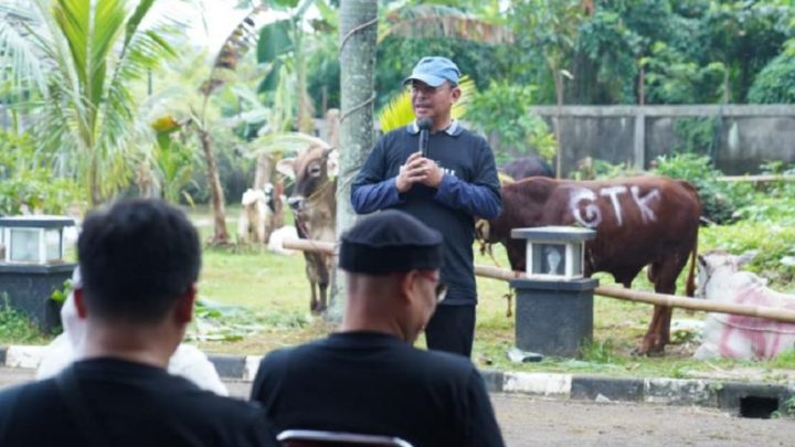 Idul Adha 1447 H – Ditjen Pendis Kemenag Tebar 1.200 Paket Kurban dan Santuni Anak Yatim