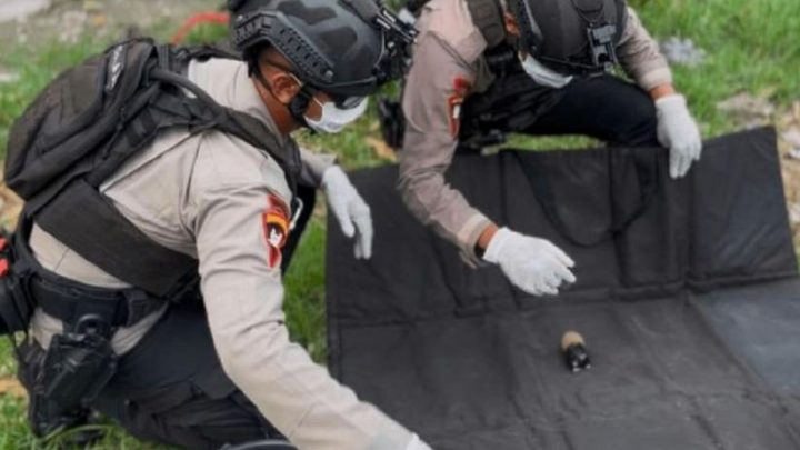 Granat Nanas Ditemukan di Kebun Jagung Warga Tegal – Gegana Langsung Turun Tangan