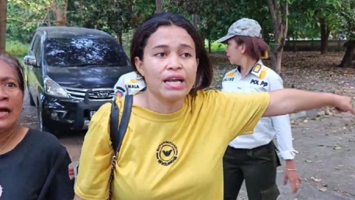 Didemo soal Penertiban, Bupati Sikka Lari Dikejar Pedagang Pasar Alok Maumere