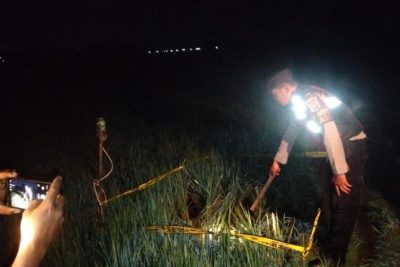 Solving Problems: Tragis! Warga Madiun Tewas Tersengat Listrik dari Jebakan Tikus di Sawah
