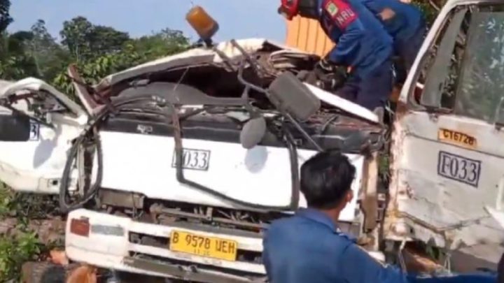 Pohon Tumbang Timpa Truk Kontainer di Karawang – Sopir dan Penumpang Tewas