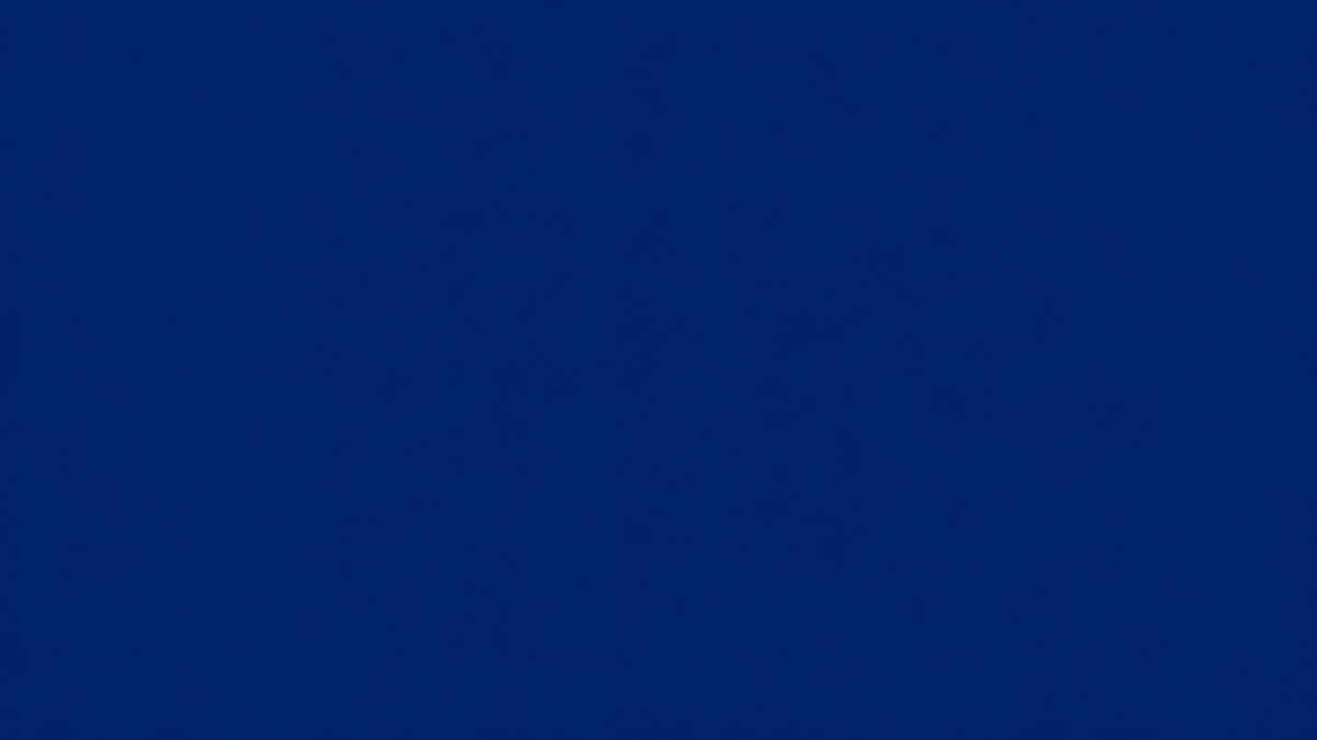 codex-099a839a9cdb4828abf0d97a9350f684